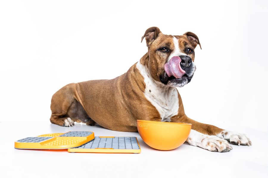 Amstaff s lízacími podložkami